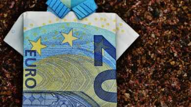 the last shirt, dollar bill, 20 euro, folded, gift, money, currency, euro, cash, reserve, folding technique, money, euro, euro, euro, euro, euro