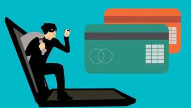 hack, fraud, card, code, computer, credit, crime, cyber, data, hacker, identity, information, internet, password, phishing, pile, privacy, protection, safety, secure, spy, steal, technology, thief, fraud, fraud, fraud, fraud, fraud, hacker, hacker, phishing, phishing, phishing, phishing, thief