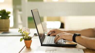 online, connection, laptop, plant, workstation, pot, work, table, workspace, technology, online, online, nature, online, online, online