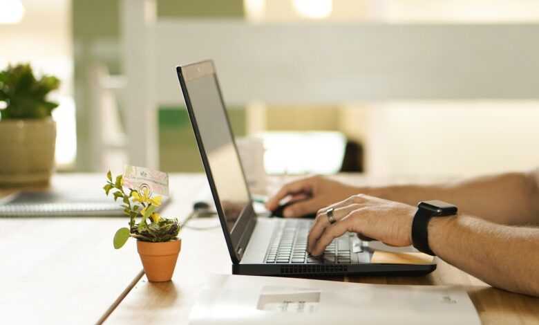 online, connection, laptop, plant, workstation, pot, work, table, workspace, technology, online, online, nature, online, online, online