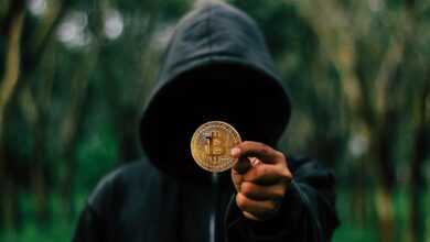 bitcoin, coin, hoodie