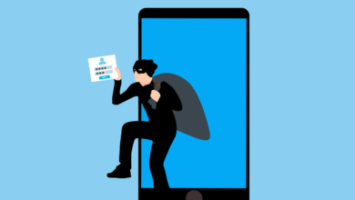hacking, data theft, online fraud