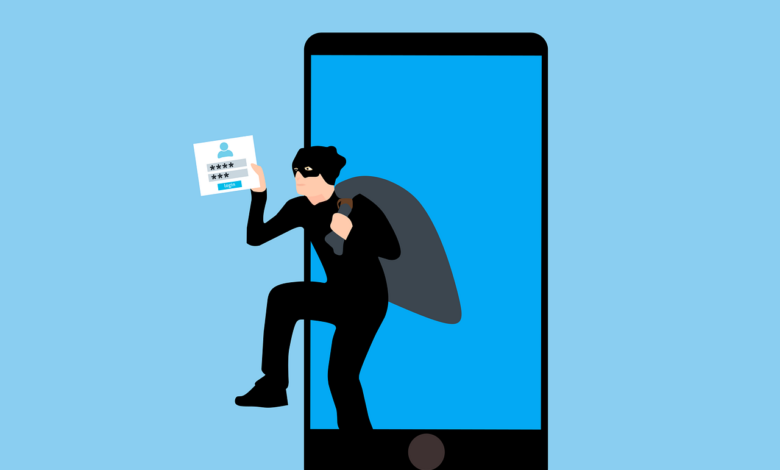 hacking, data theft, online fraud