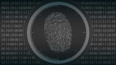 biometrics, fingerprint, security