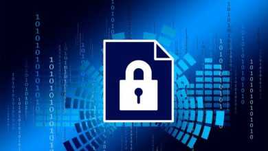 security, privacy policy, digitization