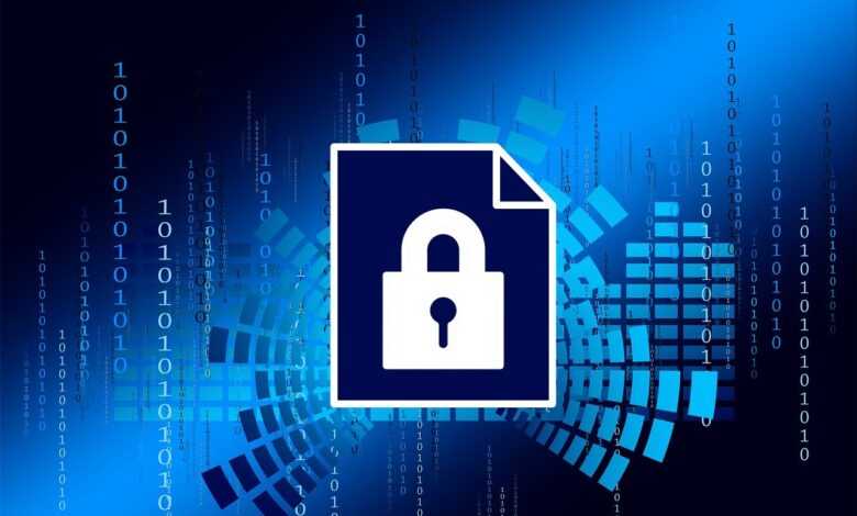security, privacy policy, digitization