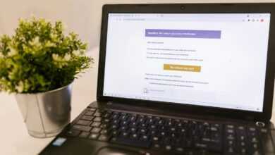 Laptop showing a financial document with a potted plant on a desk in a well-lit office.