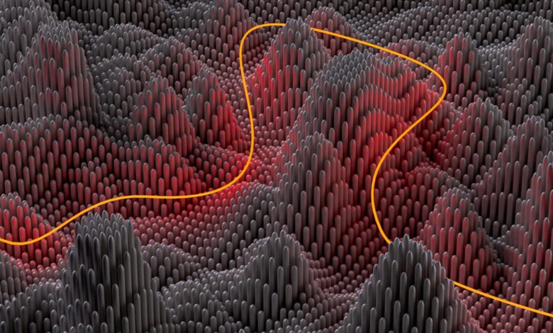 a red and black pattern with a yellow line going through it
